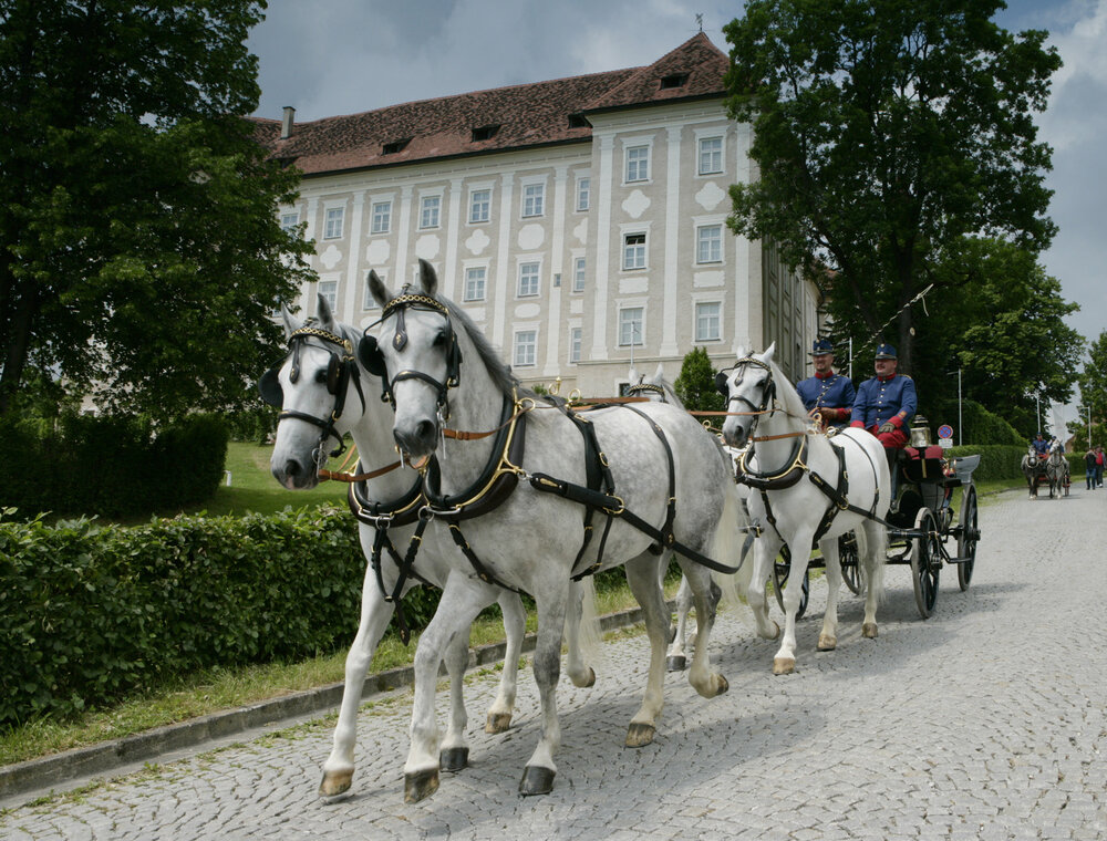 1 - (C) Lipizzanergestüt Piber