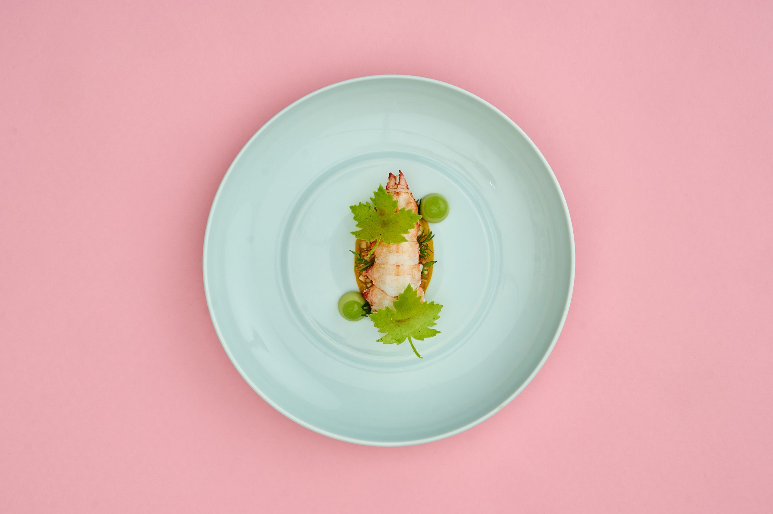 Wasabi Langoustine_Credit Nils Hasenau