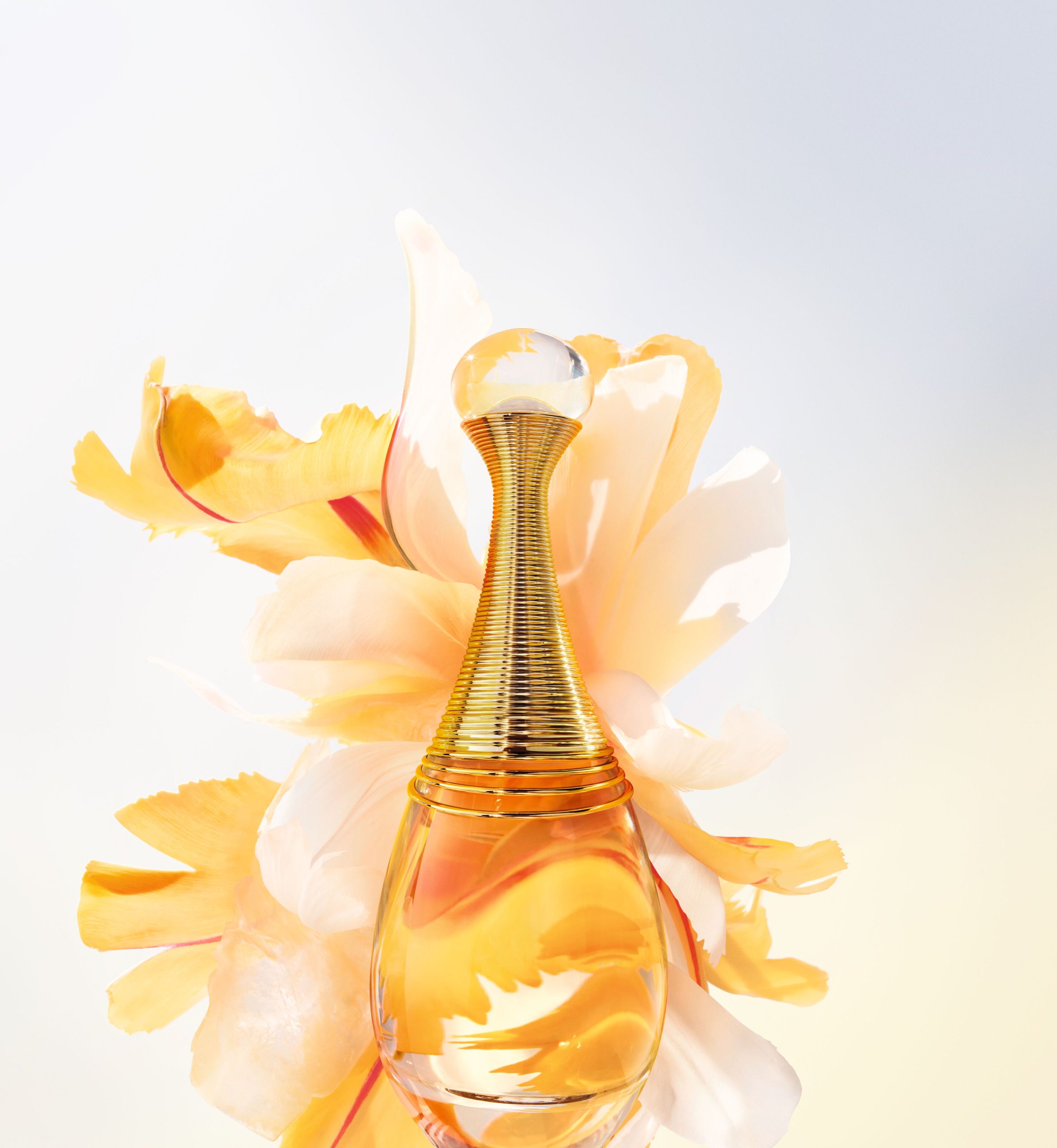 F607 J'ADORE RENO L'OR 23 D11i Fleurs EDP_CROP_L4_F39