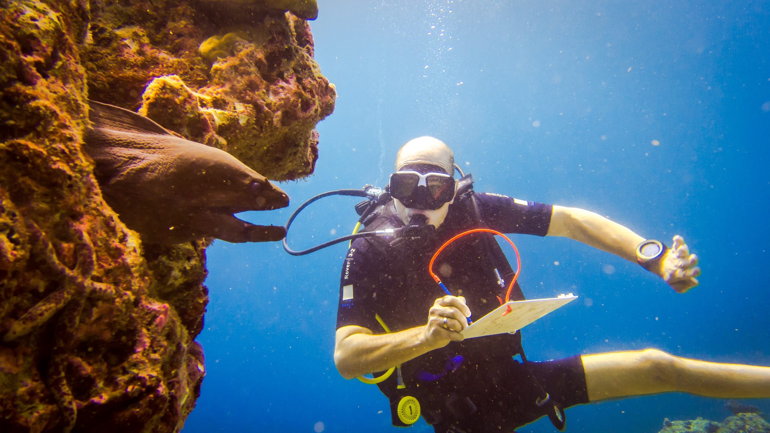 Gregory Burns-underwater sketching