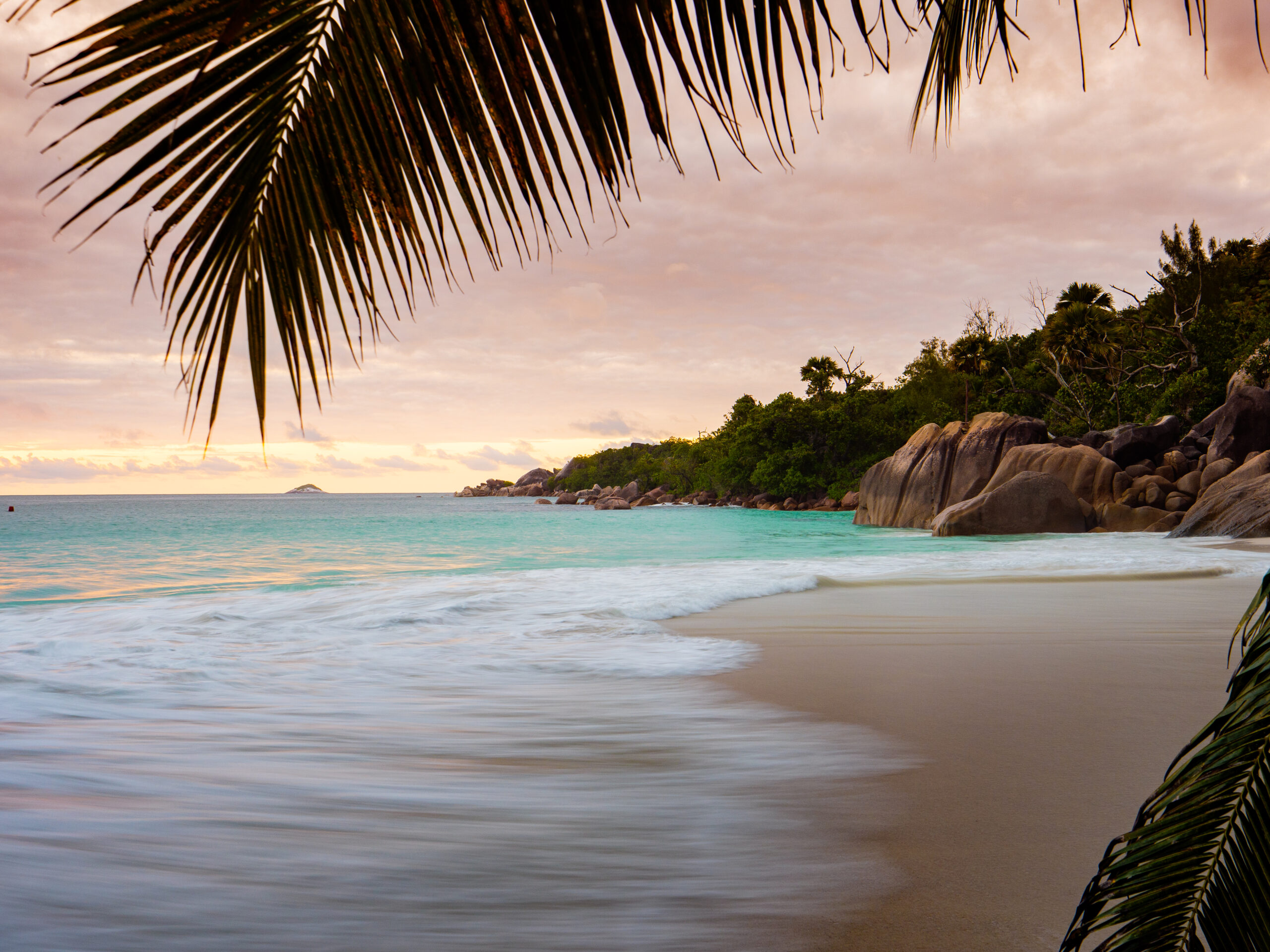 Raffles_Seychelles_Aerial_Beach_Palm