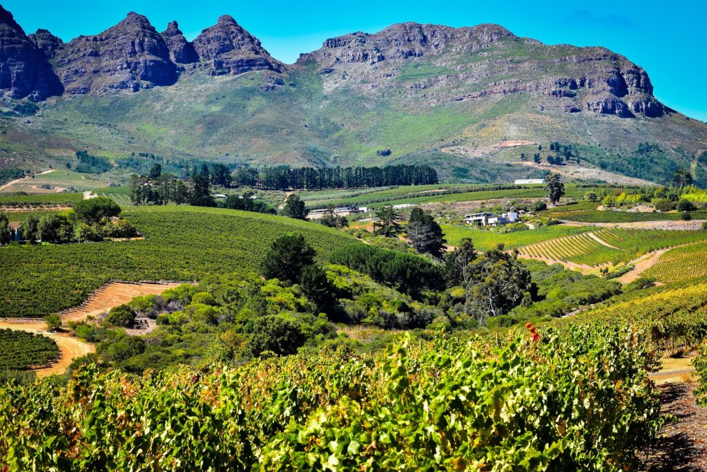 Suedafrika Weinberge ©Select Luxury Travel