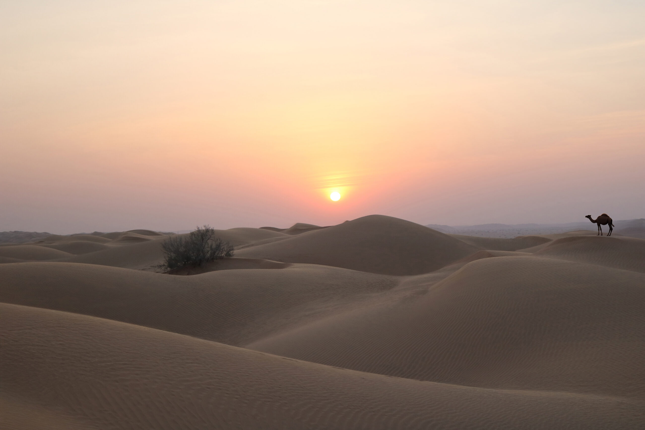 Al-Baleed-Resort-Salalah-by-Anantara-Partners-with-Beach-and-Sand-Touristic-Company-for-a-Rustic-Overnight-Desert-Experience-in-the-Empty-Quarter-2-(c)-Anantara-Hotels-Resorts.