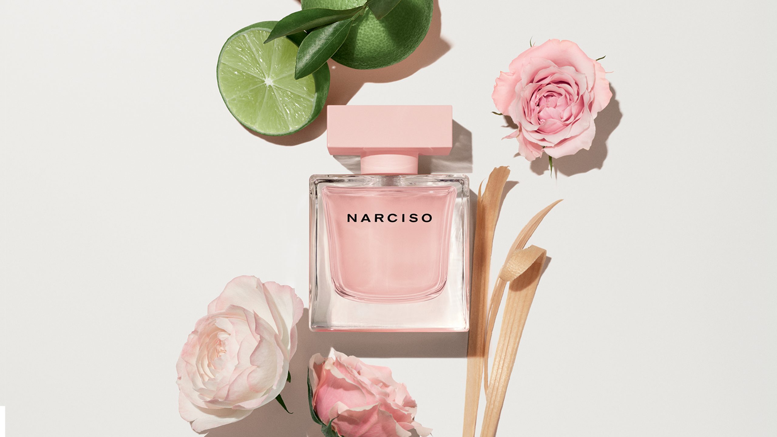 Narciso Cristal EDP 2022 - Ingredient_Bergamot Rose Cedar_RGB Web_3556x2000px_300dpi
